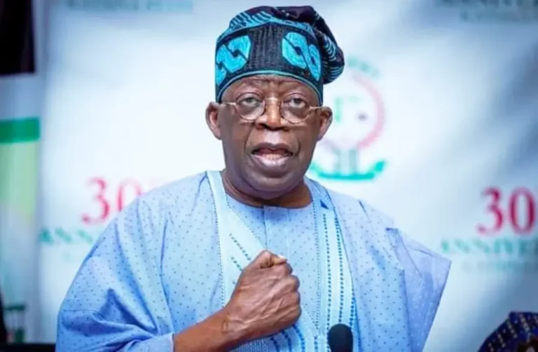 Tinubu economic team