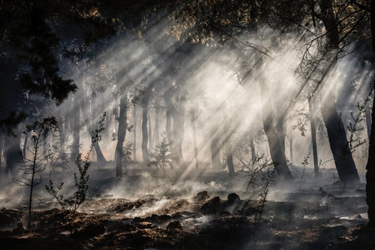 GREECE-FIRE-CLIMATE