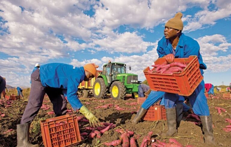 Togo soil health and farm productivity