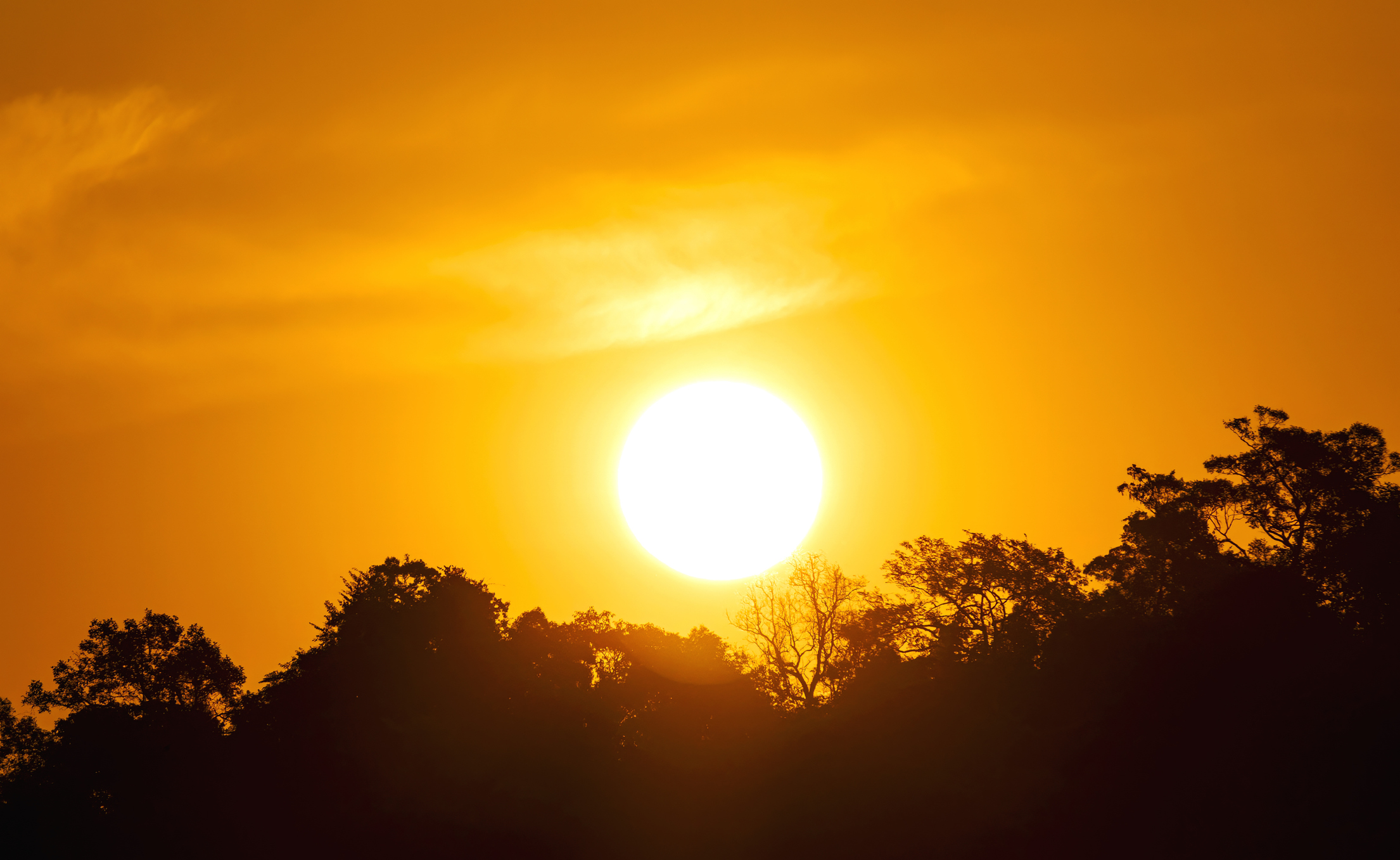 rssimg_68af55b24b85a