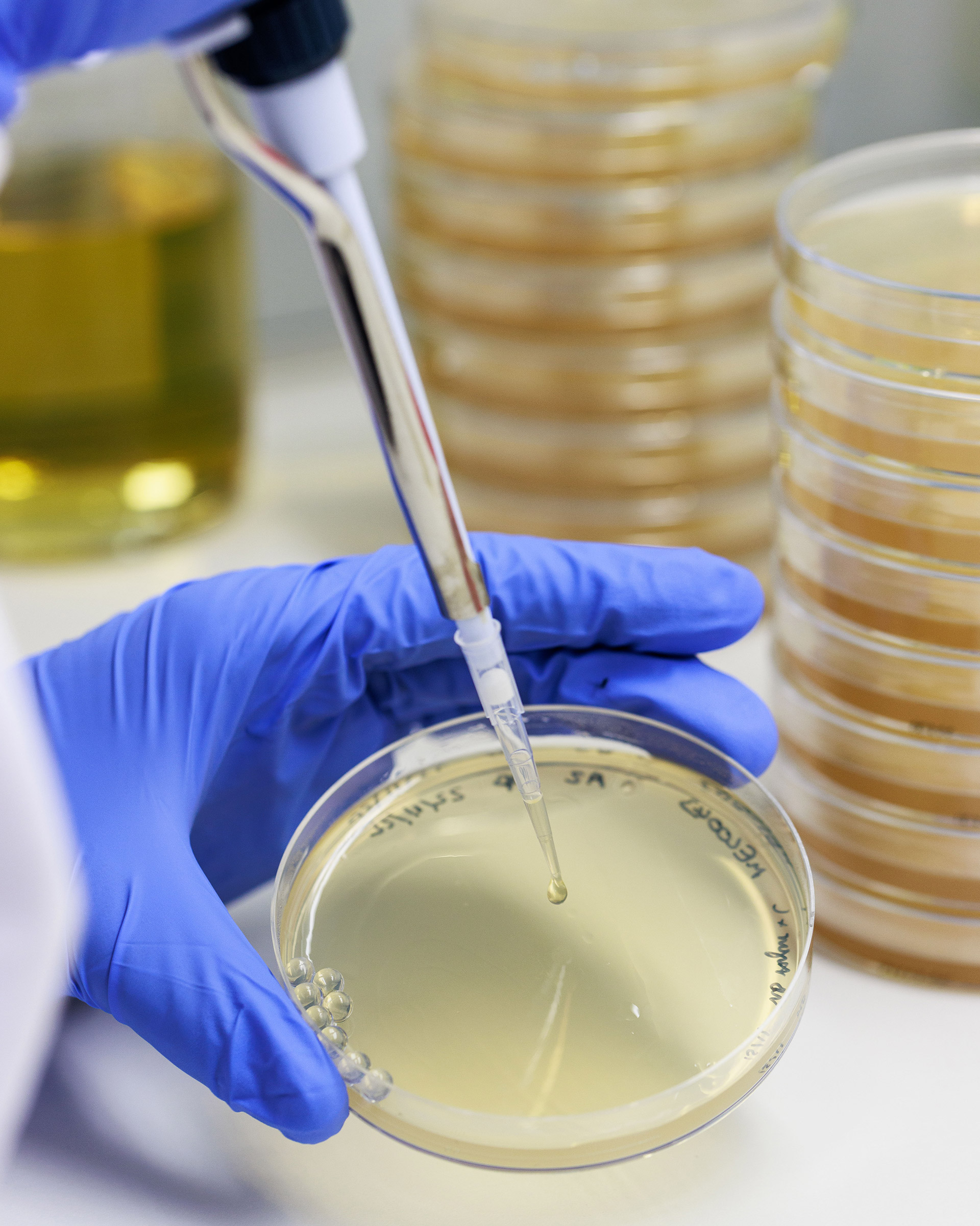 rssimg_68b044c1cca50