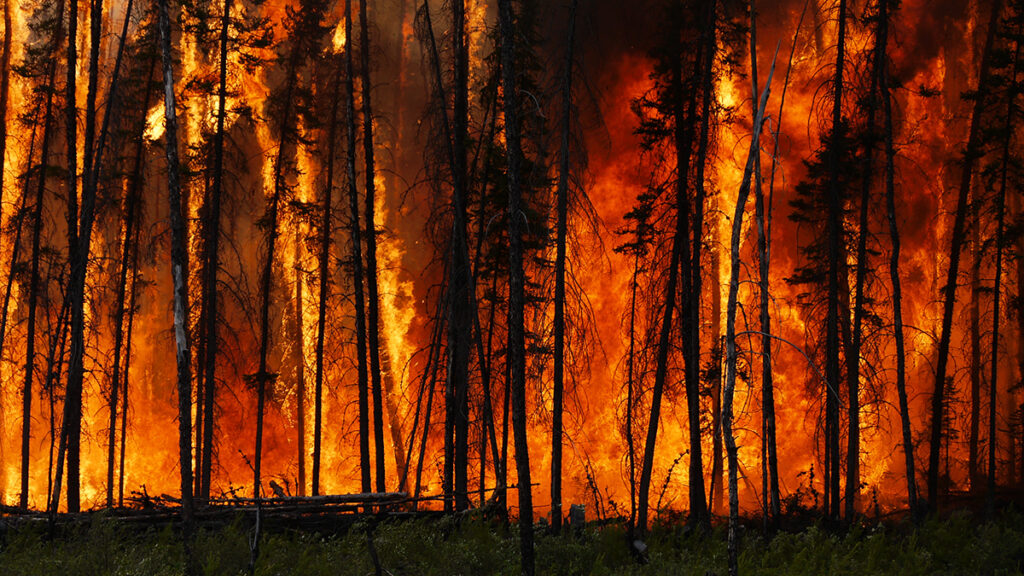 France wildfire exceeds Paris size