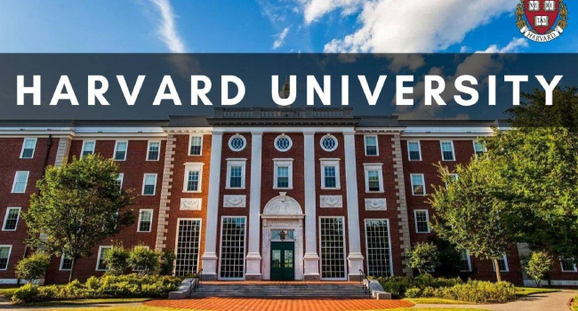 rssimg_68b8c87699ec2