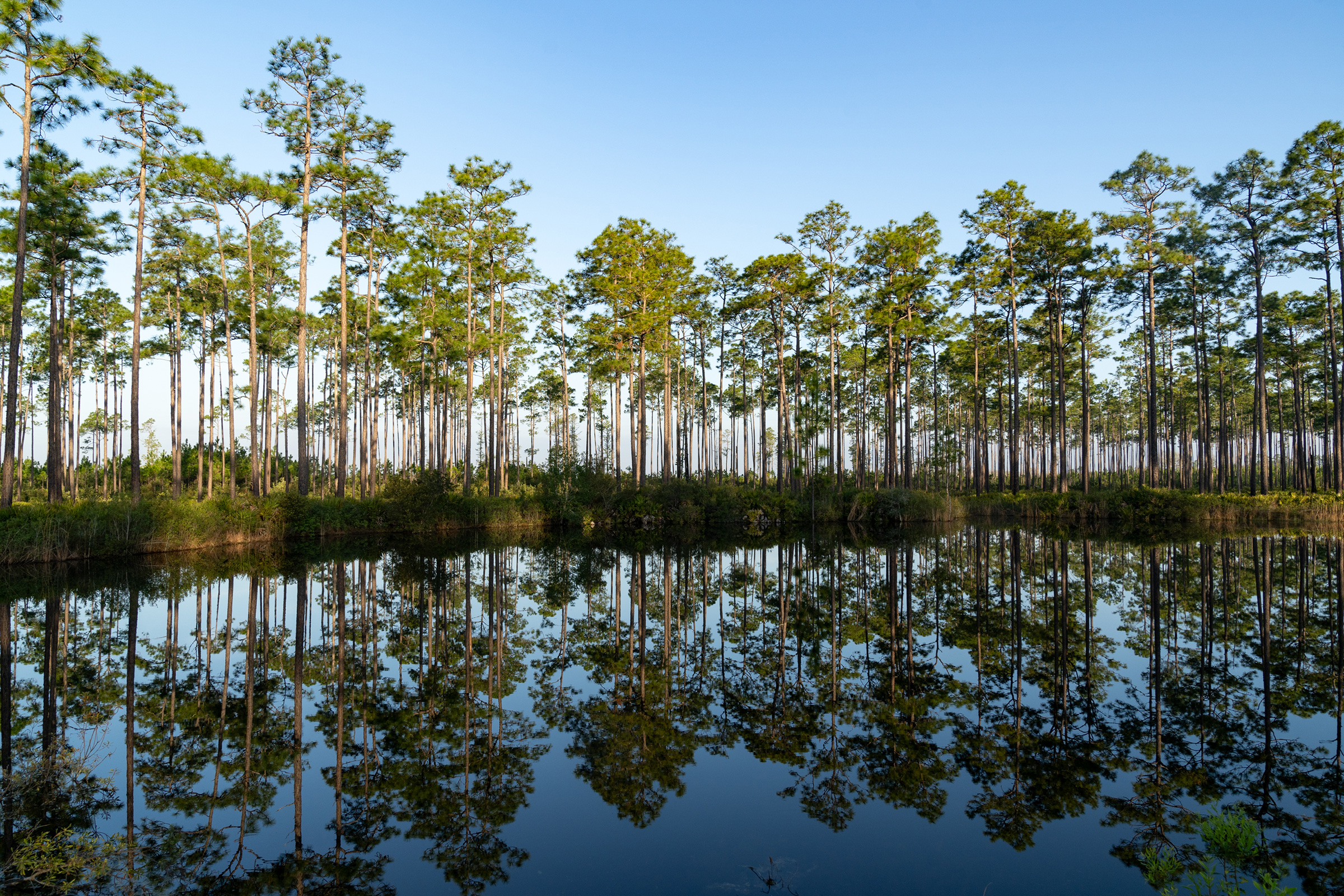 rssimg_68c016c29e2db