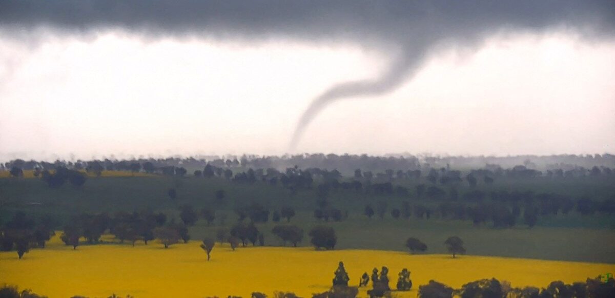 rssimg_68c1765714350