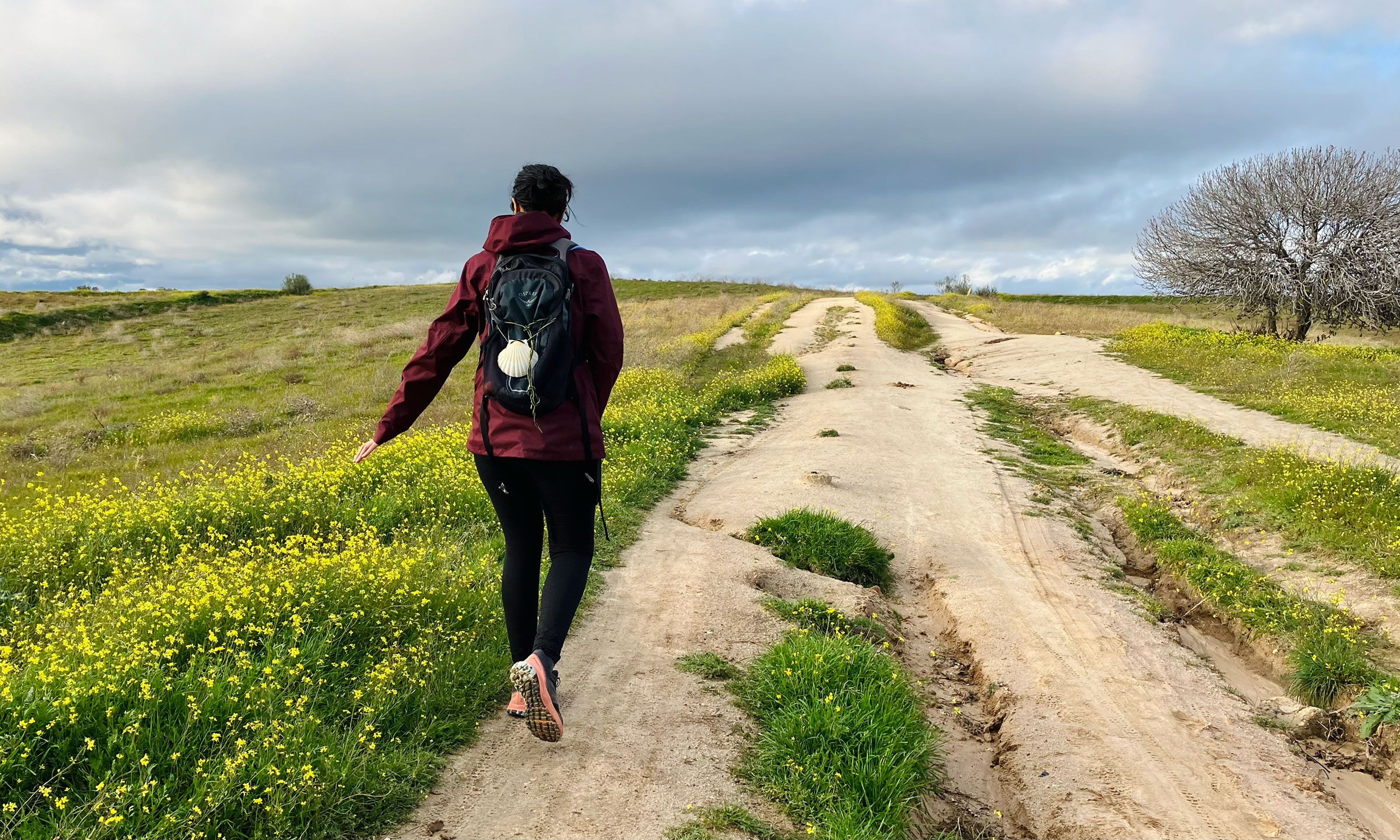 rssimg_68cbe633601d4