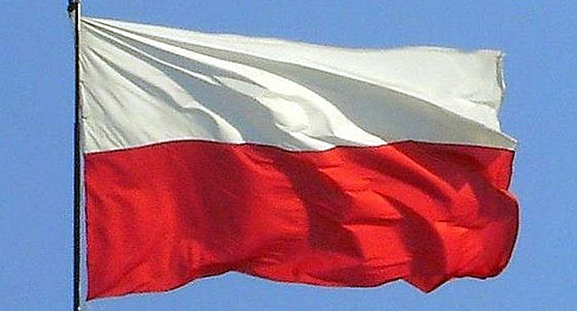 rssimg_68d164773e5ae