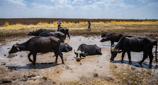 rssimg_68d2b600c0c5f