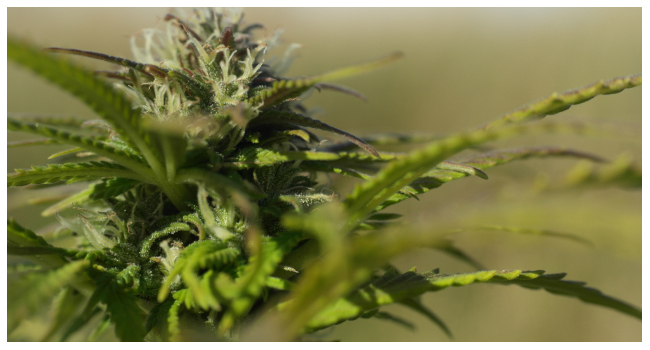 rssimg_68dabb18d8709