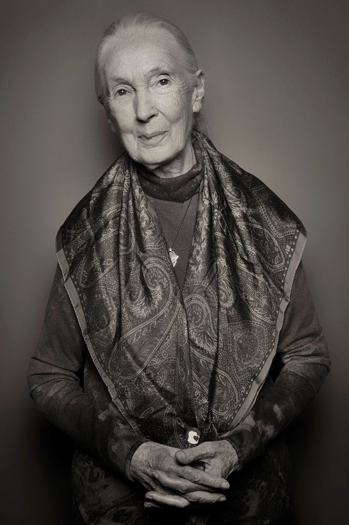 rssimg_68de3f13cd31f