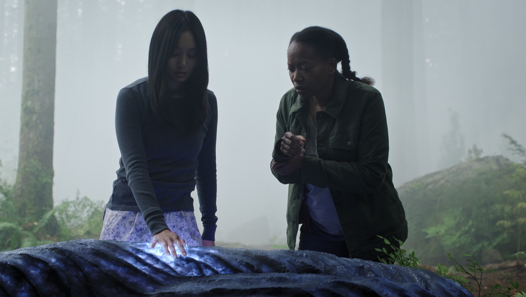 rssimg_68fbe8d2b772d