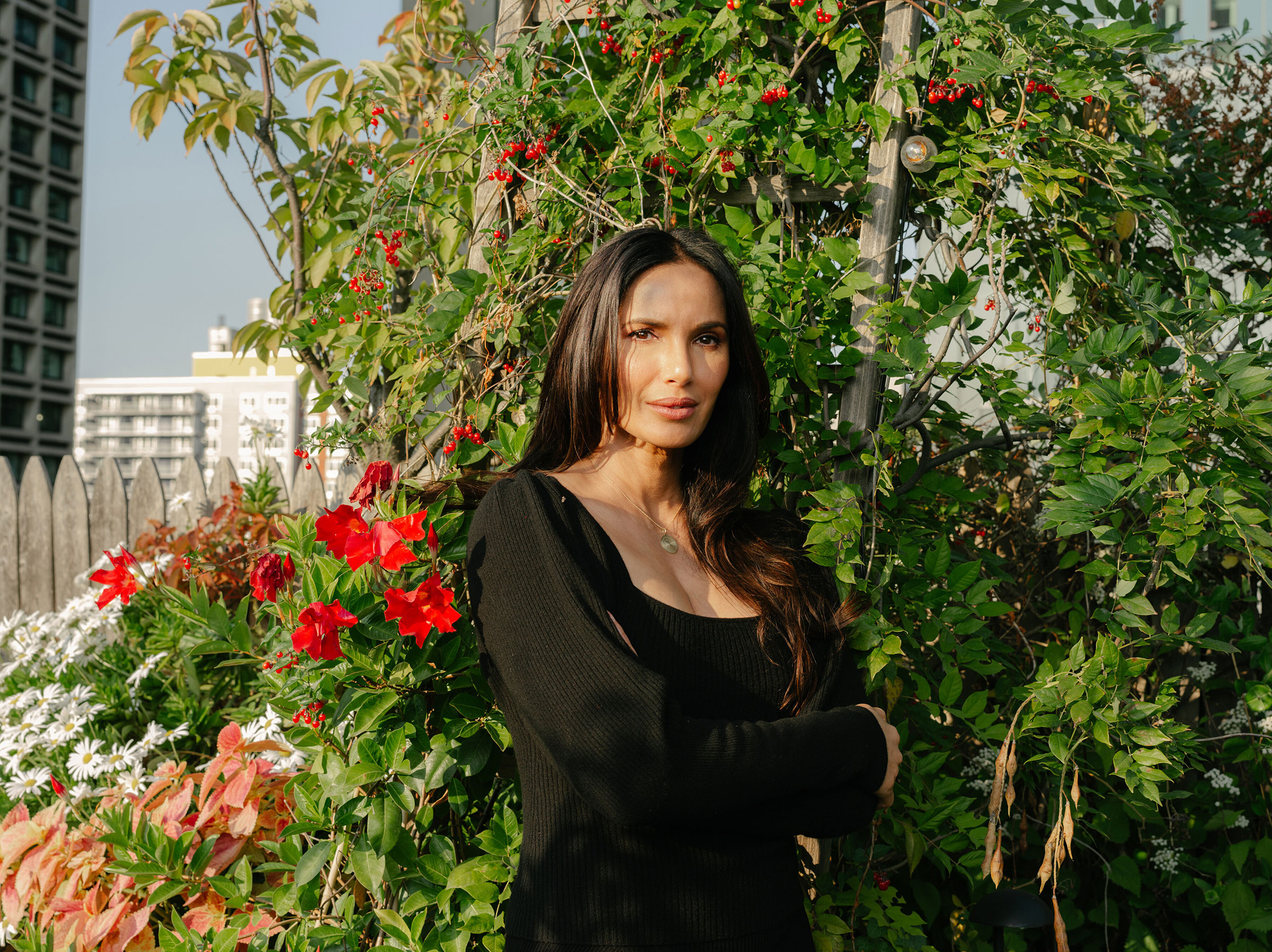 rssimg_690933f2e6d12