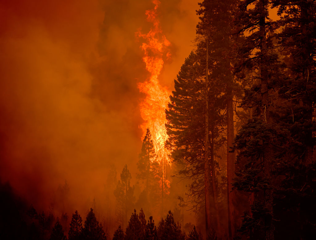 rssimg_690a3112ebe03