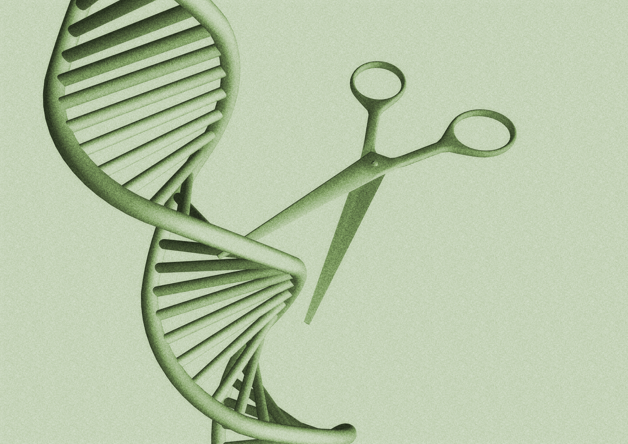 rssimg_690f6902f1718