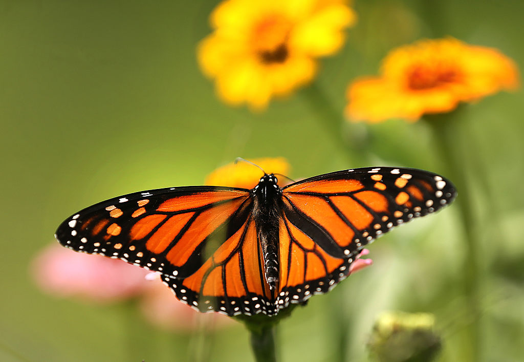 rssimg_691f73428b1eb