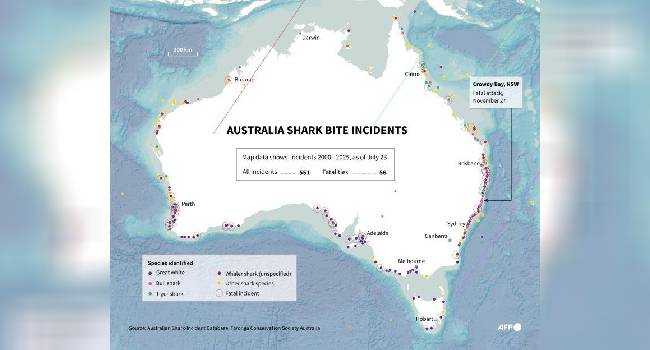 rssimg_69283d44d2b6f