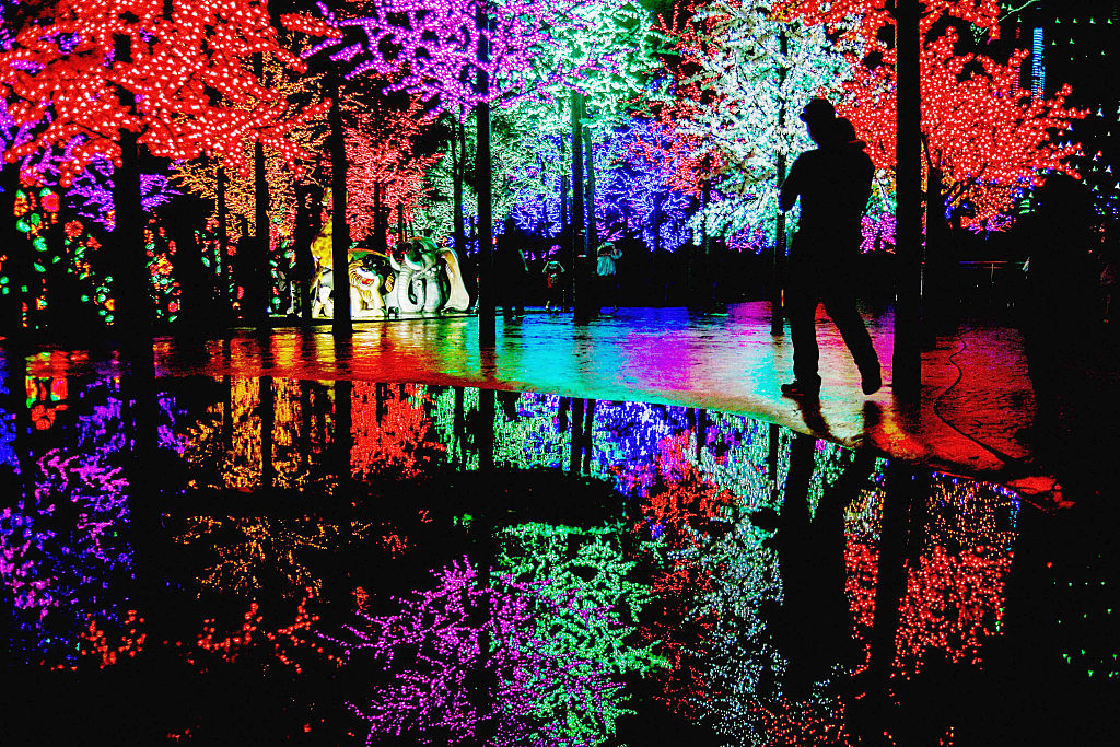 rssimg_693177c2ceb18