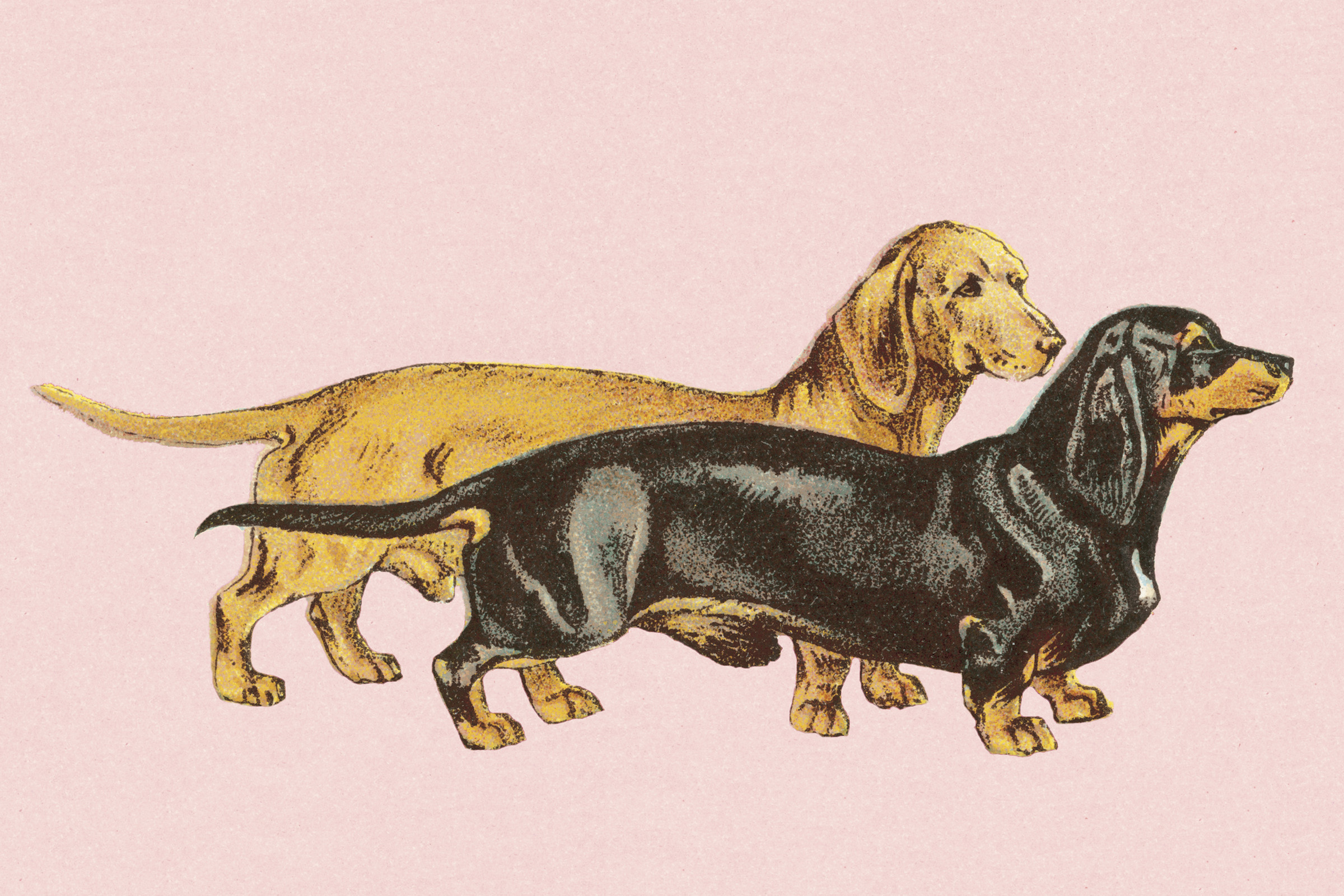 rssimg_6932c942ee645