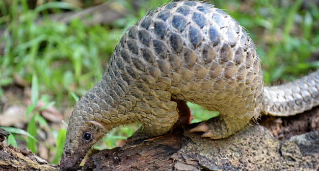 rssimg_693ac057d3453