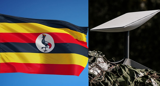 rssimg_694aca9671bcd