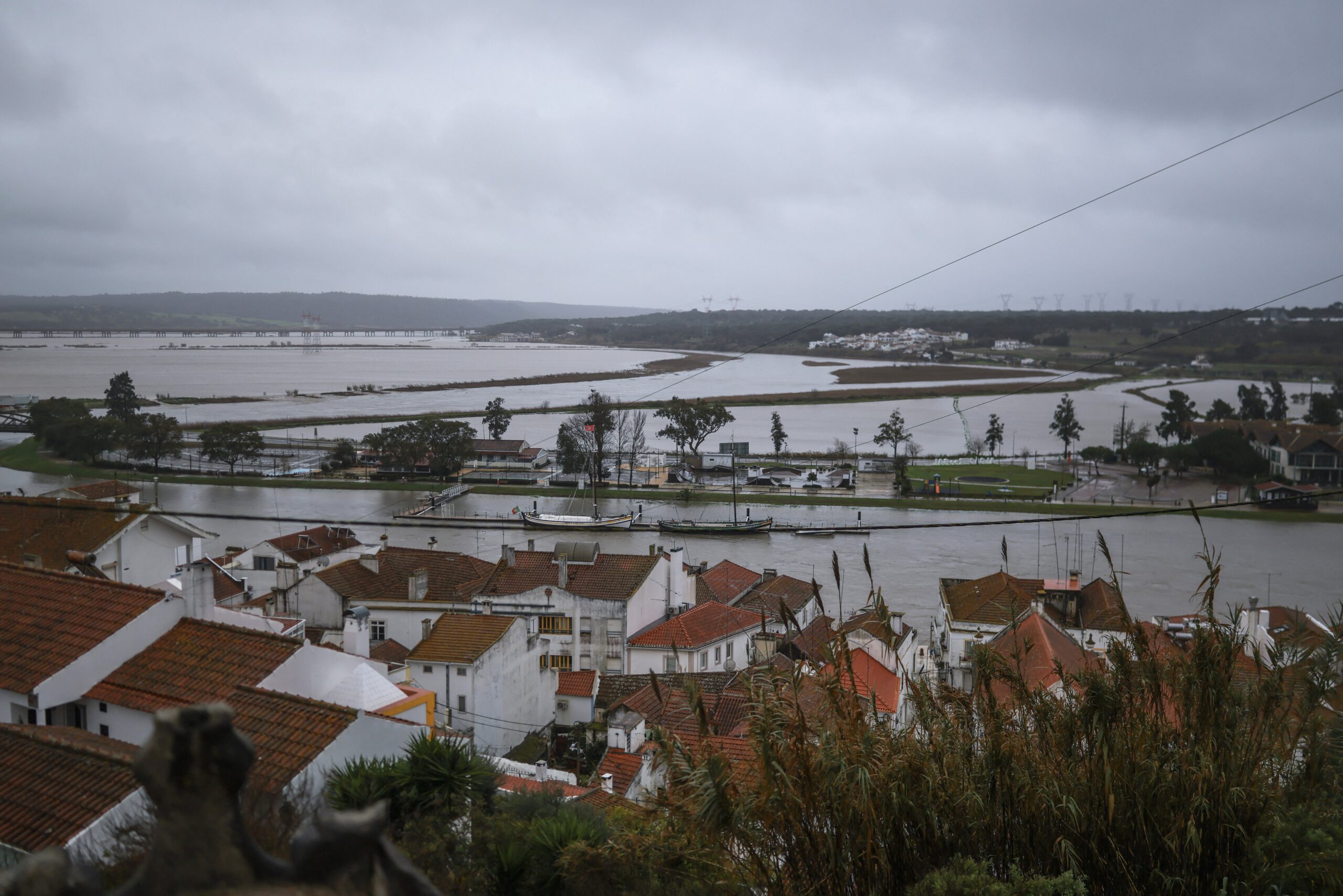 rssimg_69837b15e5e4a