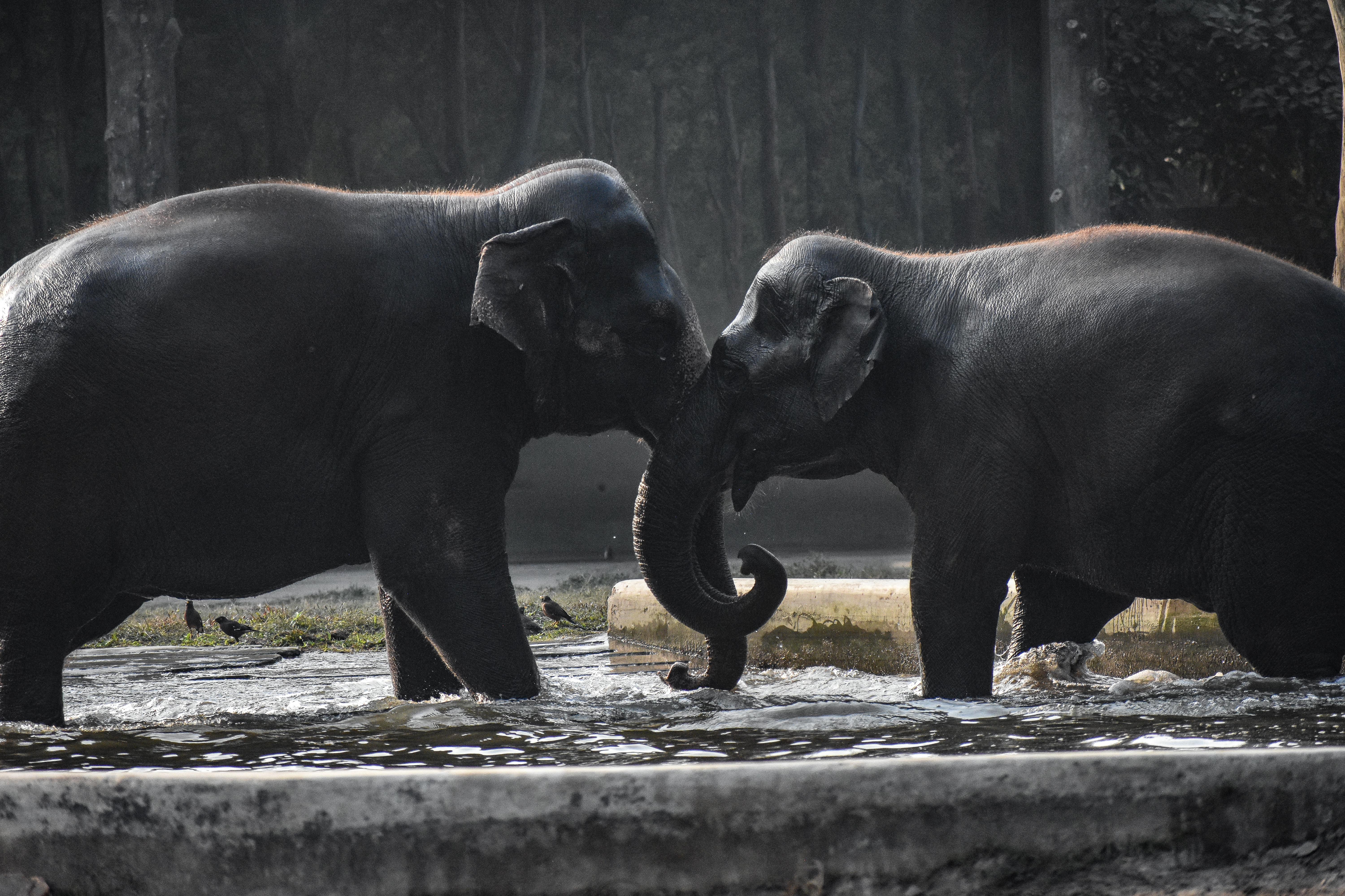 rssimg_698397331ec69