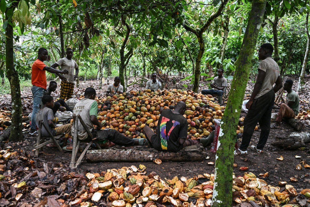 rssimg_69a865188d69e