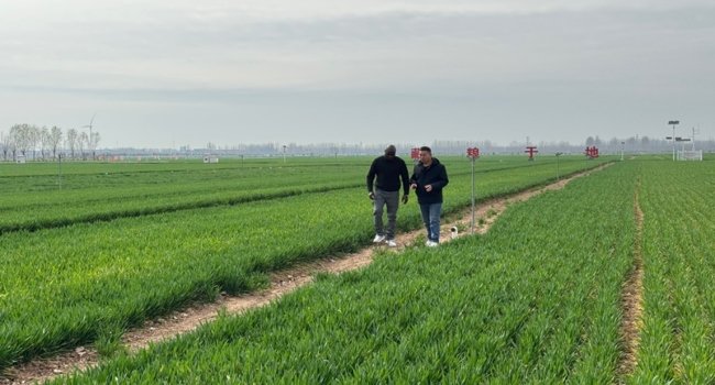 rssimg_69adc7375c851