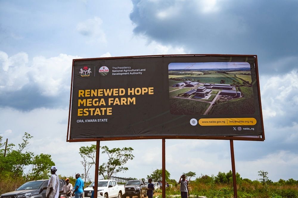 0f5f2686-db6b-4345-9dbf-c0b851b57974