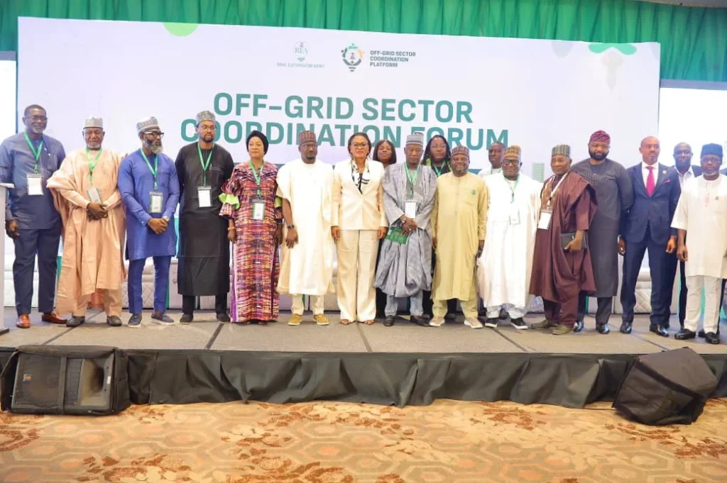 REA Calls for Unified Stakeholder Approach to Accelerate Electricity Access