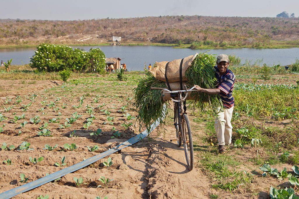rssimg_6aa5770855450