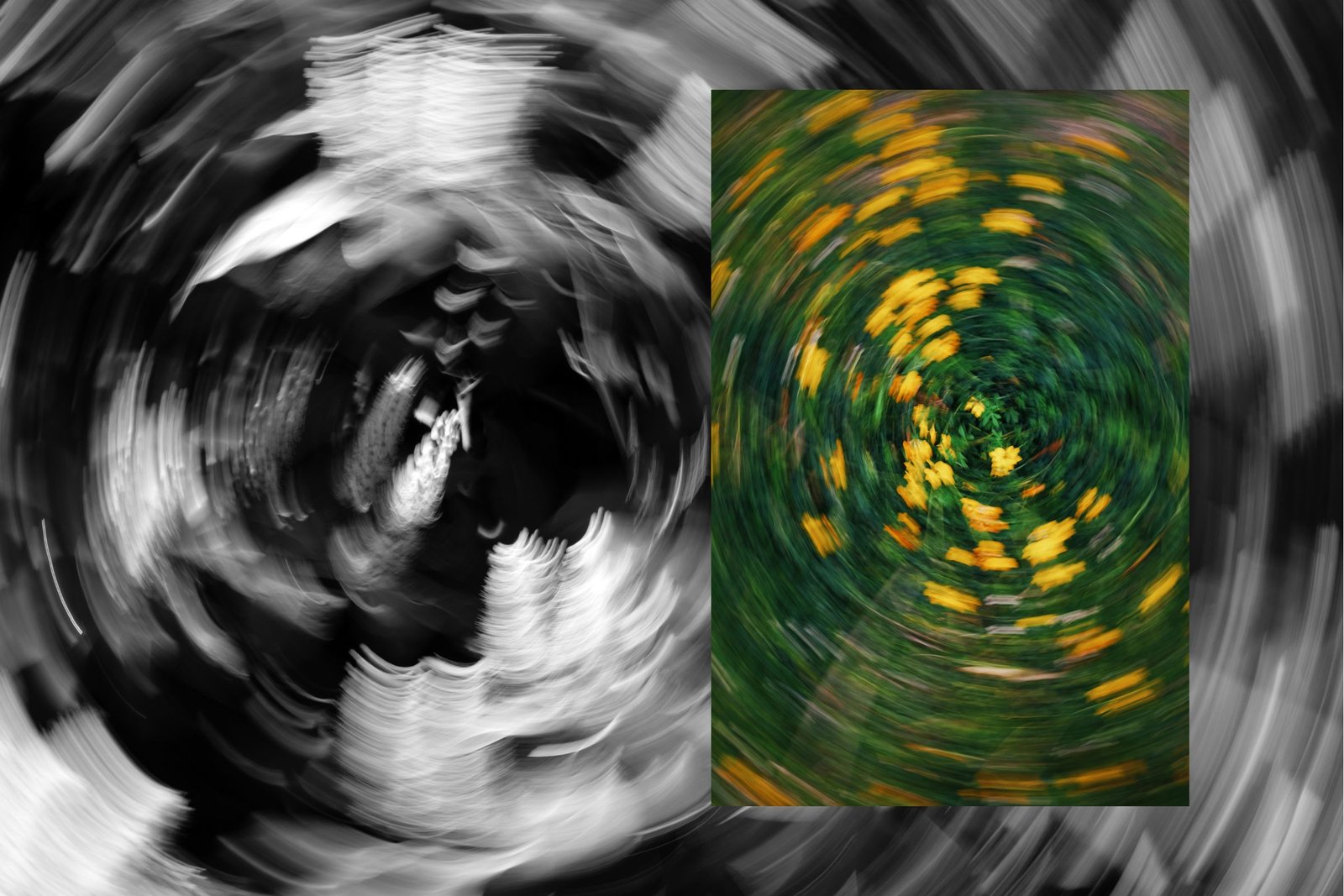 rssimg_6ab30876900c7