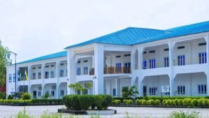 Gen Z Nurses: Madonna University Expels Student, Suspends 14 Over Viral TikTok Video