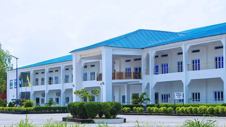Gen Z Nurses: Madonna University Expels Student, Suspends 14 Over Viral TikTok Video